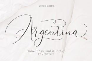 Argentina: A Romantic Script Font for Editorial Design
