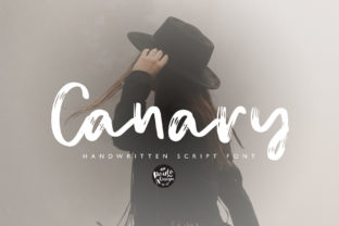 Canary: A Handwritten Brush Font for Web Design