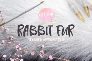 Rabbit Fur: A Bold Display Font for Marketers