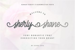 Sherly Shane: A Designer's Real-World Review