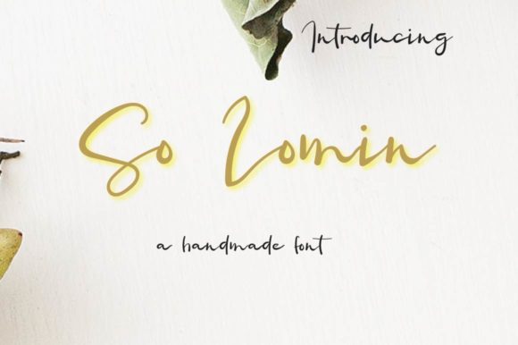So Lomin: A Bold Handwritten Font for Crafters