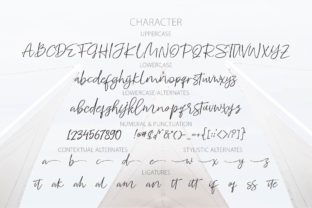 Whitecase: A Handwritten Font for Editorial Elegance